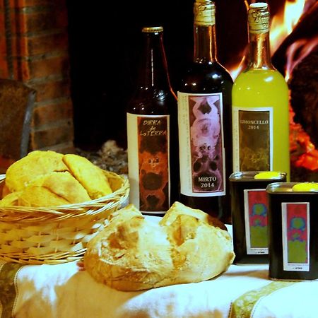 Agriturismo La Terra 瓦里亚诺 外观 照片