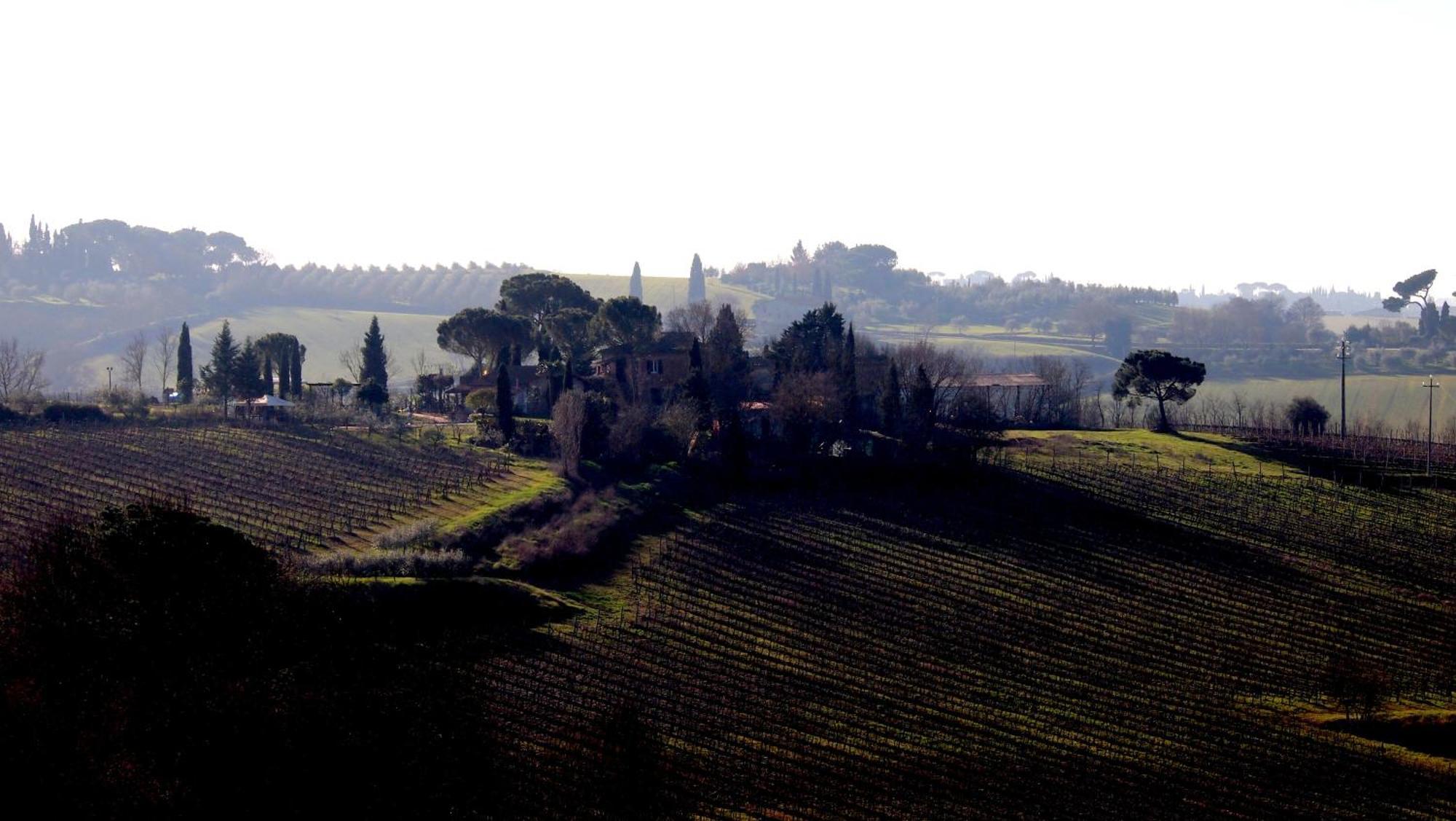 Agriturismo La Terra 瓦里亚诺 外观 照片