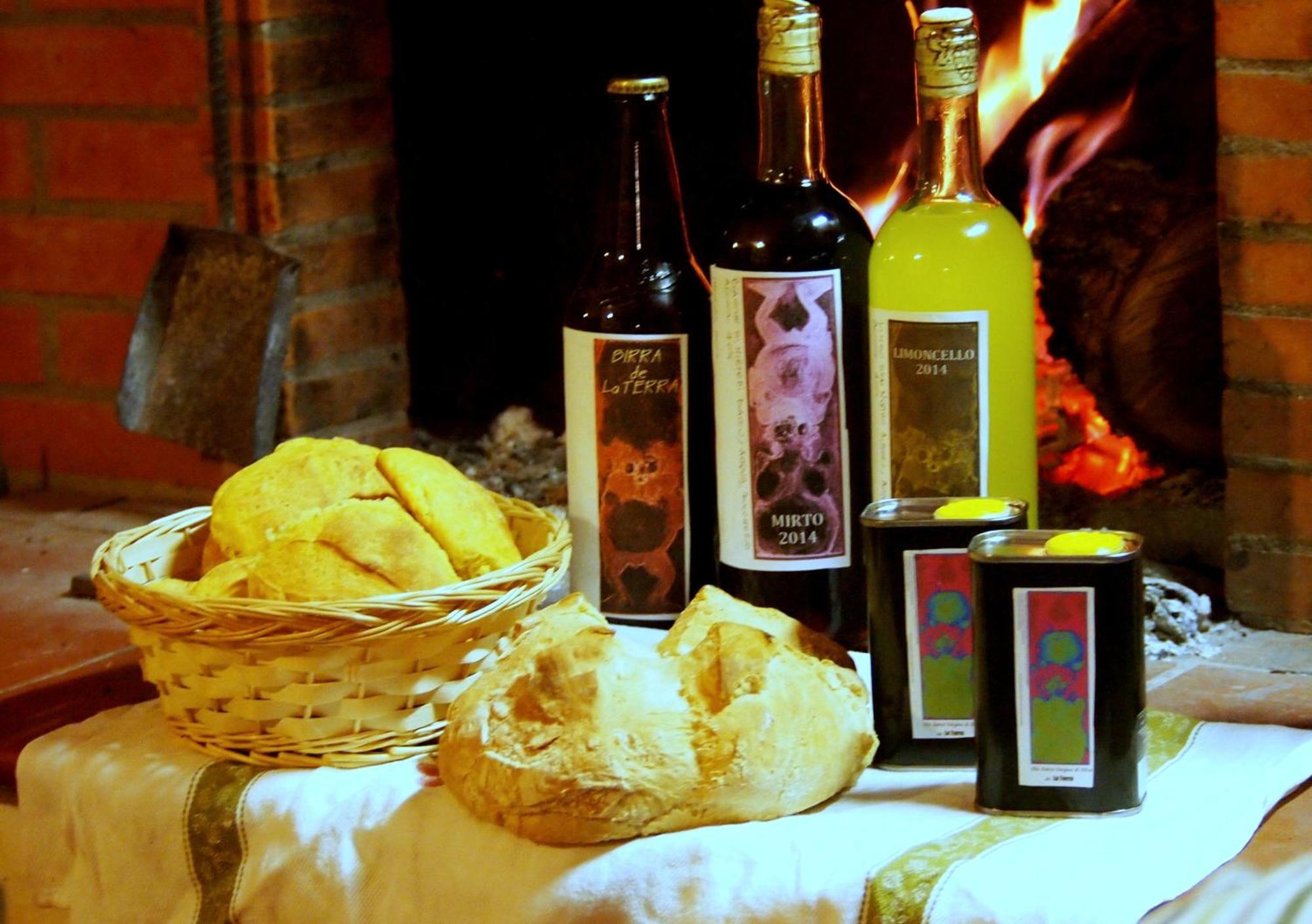 Agriturismo La Terra 瓦里亚诺 外观 照片