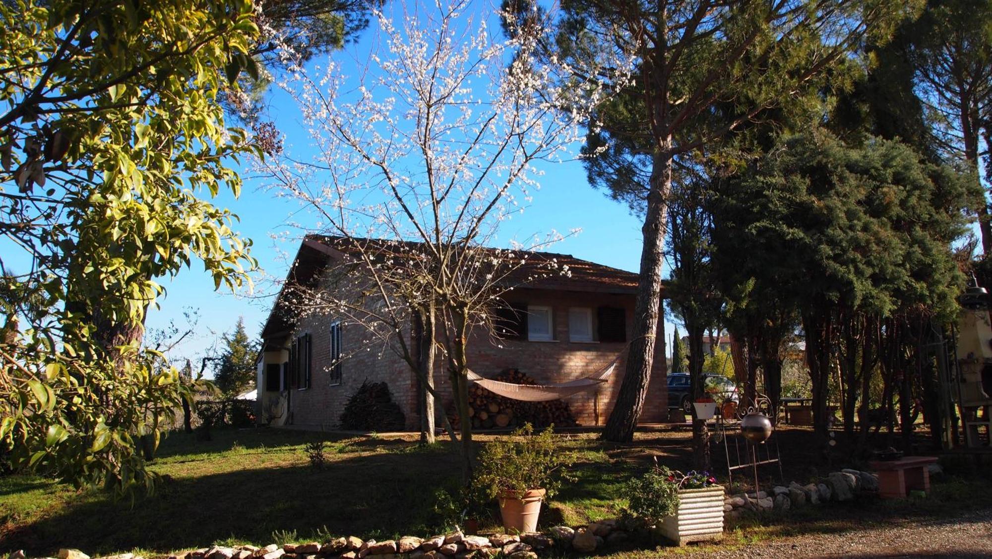 Agriturismo La Terra 瓦里亚诺 外观 照片