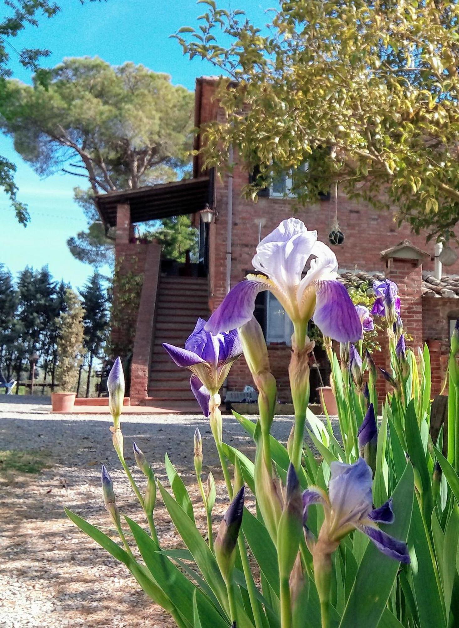 Agriturismo La Terra 瓦里亚诺 外观 照片