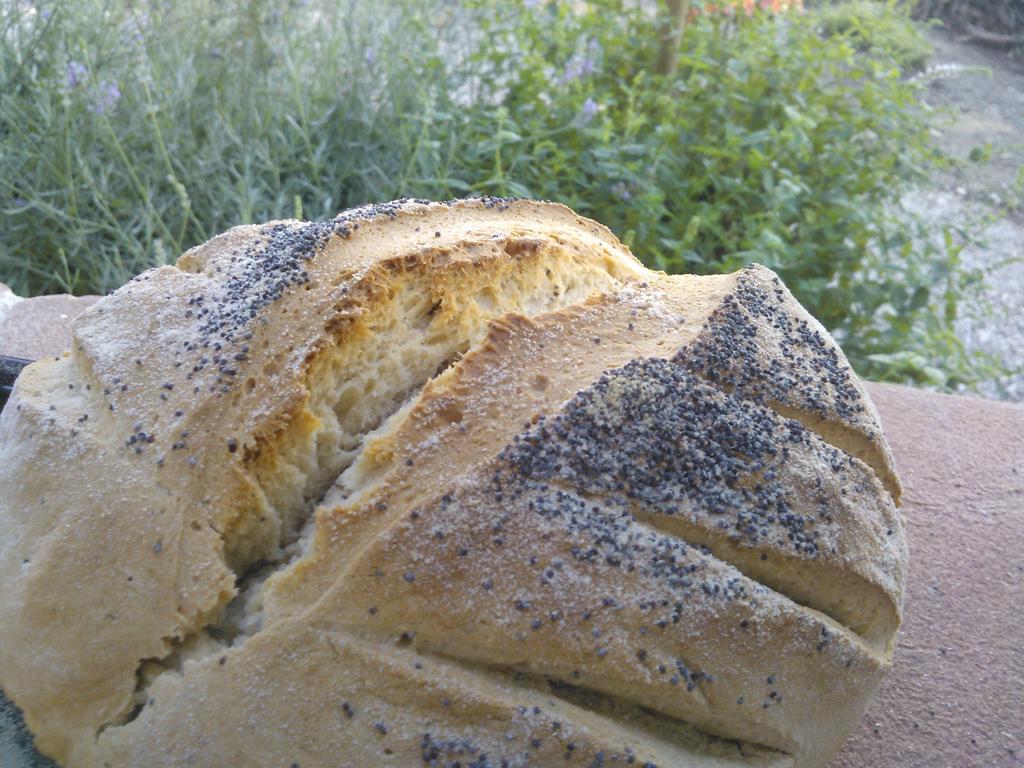 Agriturismo La Terra 瓦里亚诺 外观 照片