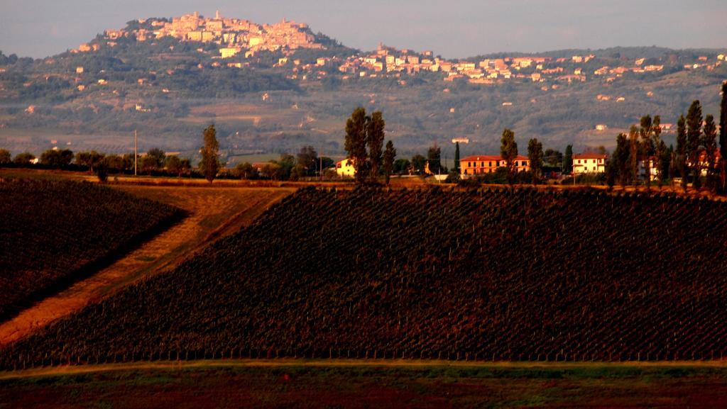 Agriturismo La Terra 瓦里亚诺 外观 照片
