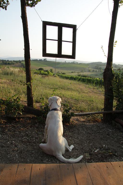 Agriturismo La Terra 瓦里亚诺 外观 照片